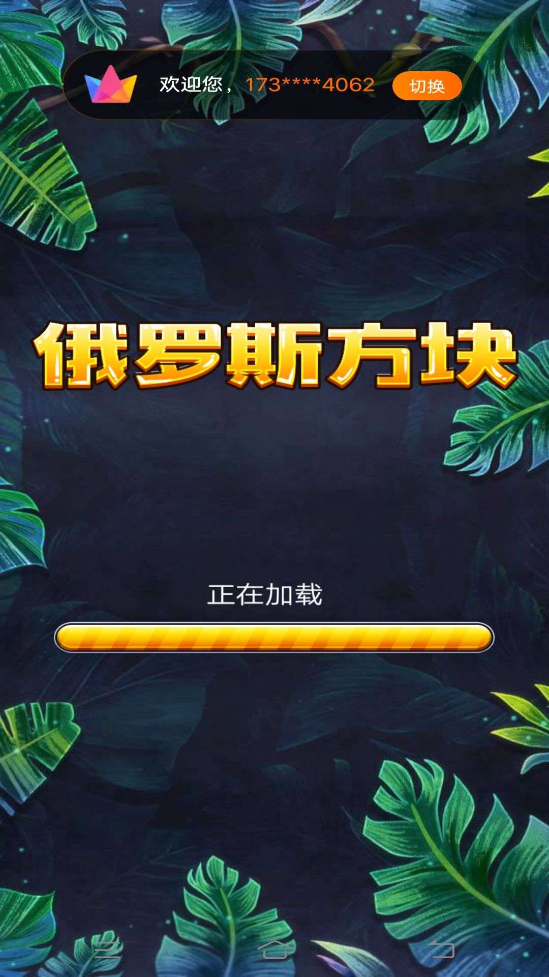 经典俄罗斯方块黑白单机版