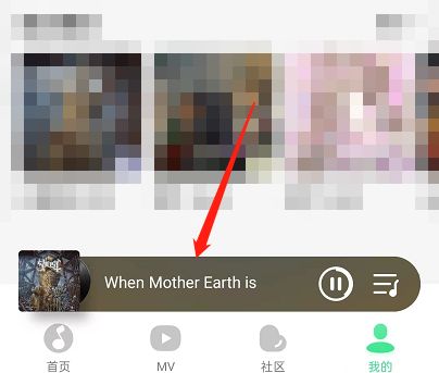 QQ音乐音乐风格在哪里查看-QQ音乐音乐风格查看教程