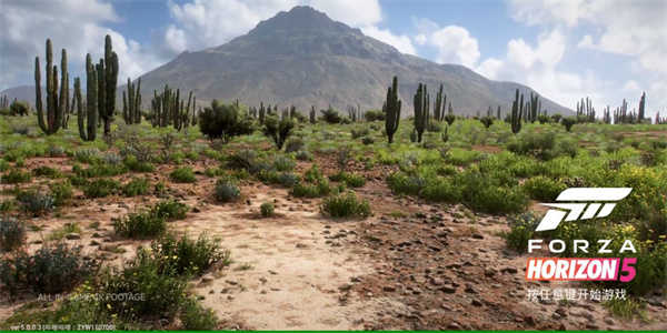 极限竞速地平线5截图2