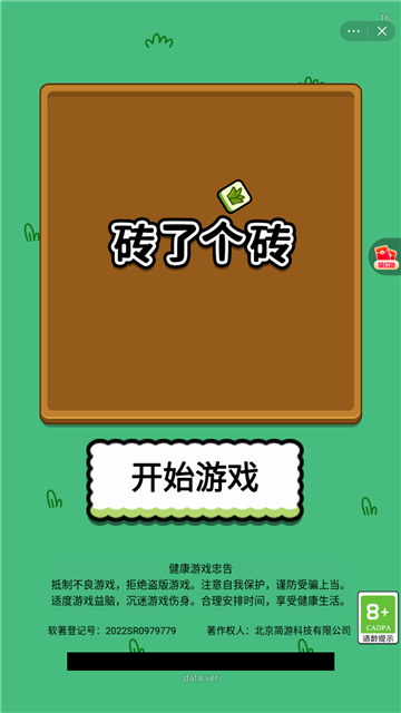 砖了个砖截图3