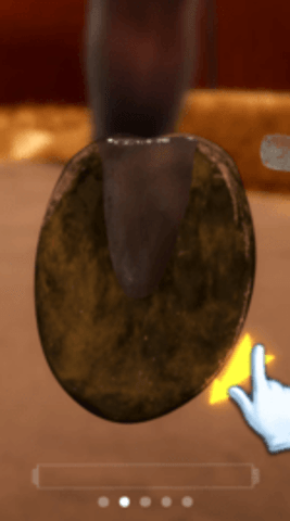 赛马也疯狂截图1