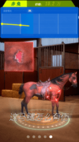 赛马也疯狂截图2