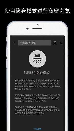谷歌浏览器官网版截图1