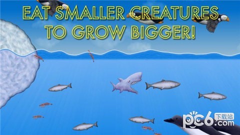 美味深蓝2鲨鱼版截图2
