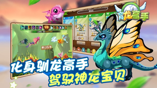 育龙高手官方版截图1