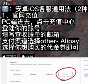 代号鸢港服官网版