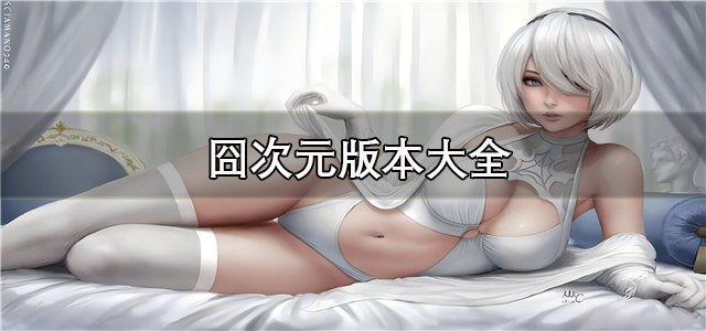 囧次元版本大全