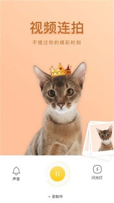 萌仔相机手机版截图2