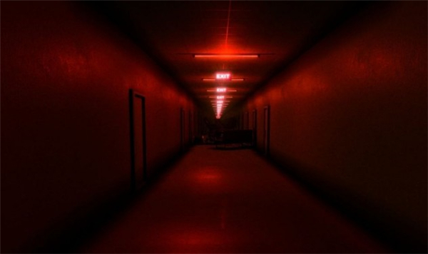 后世level完整版