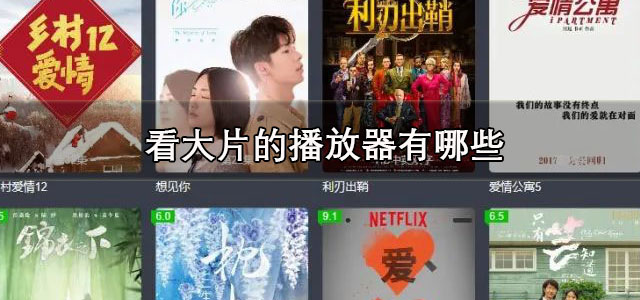 看大片的播放器