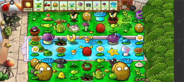 植物大战僵尸随机模仿版