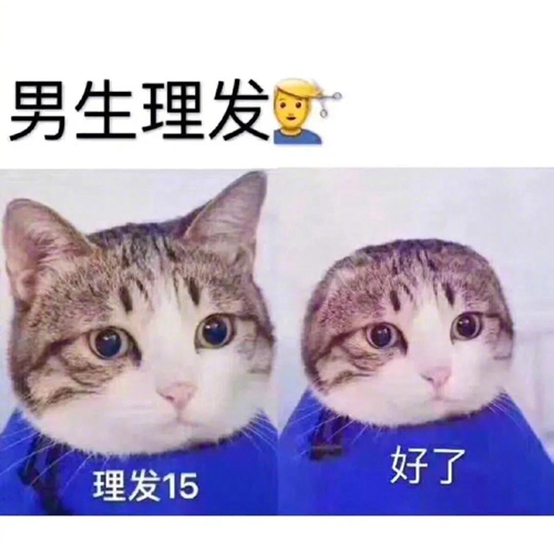 女生理发男生理发表情包
