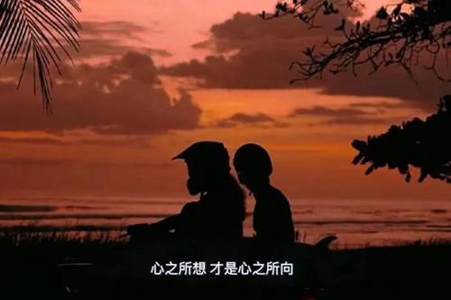 最好的人生状态安于得失淡于成败图片