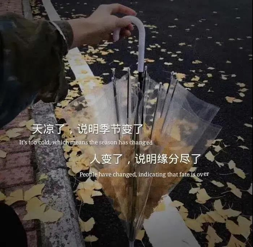 天凉了说明季节变了人变了说明缘分尽了图片