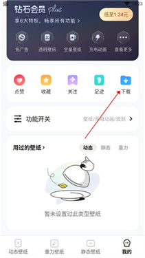 皮皮动态壁纸app