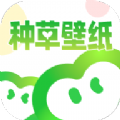 种草壁纸app