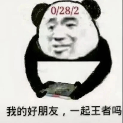 今年的收入还算乐观除去一切开支还剩个锤子表情包