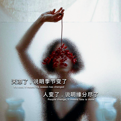 天凉了说明季节变了 人变了说明缘分尽了图片