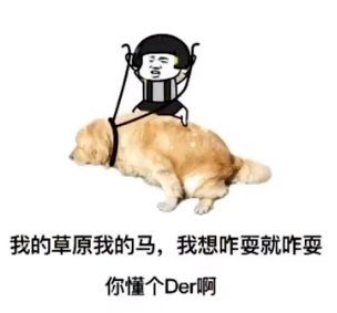 我的草原我的马我想咋耍就咋耍你懂个Der啊表情包