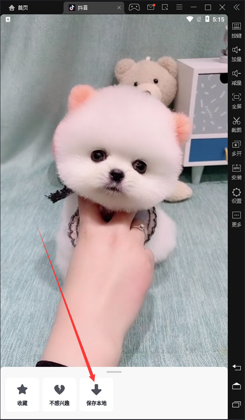 雷电模拟器下载的视频在哪找