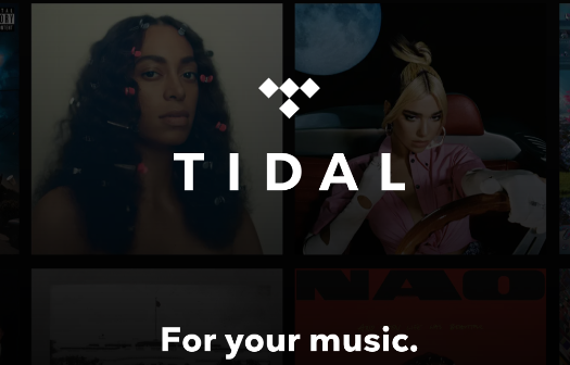 tidal音乐app截图2