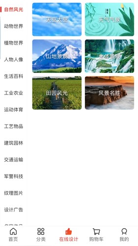 图王网截图2