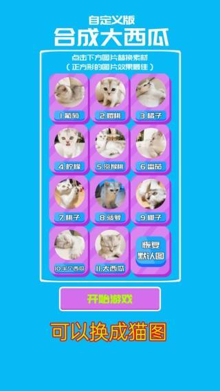 合出大西瓜2048截图2