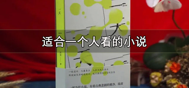 适合一个人看的小说