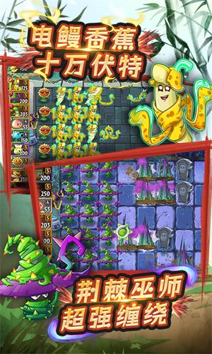 植物大战僵尸2永劫无间截图4
