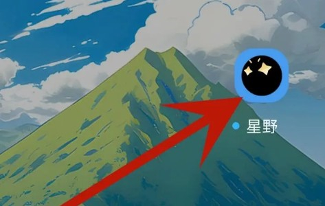 星野APP国际服