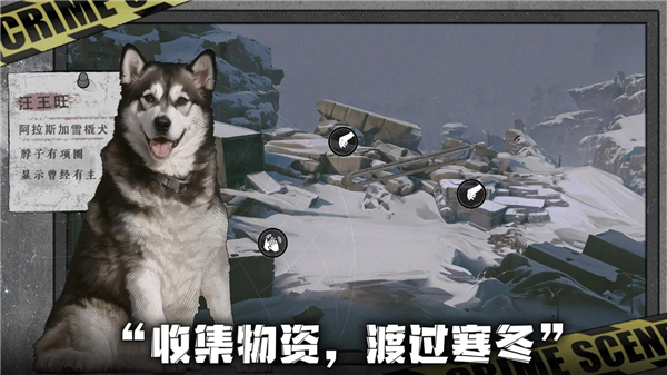 我在末日捡垃圾截图2