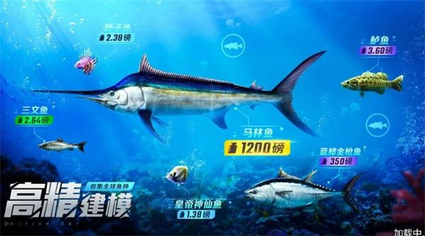 野外钓鱼大师截图1