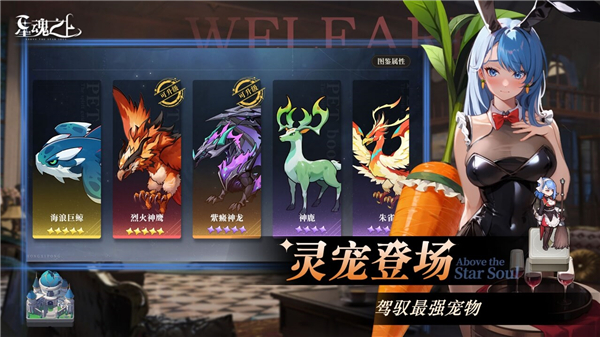 星魂之上截图3
