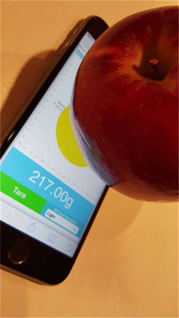 touchscale屏幕电子秤截图1