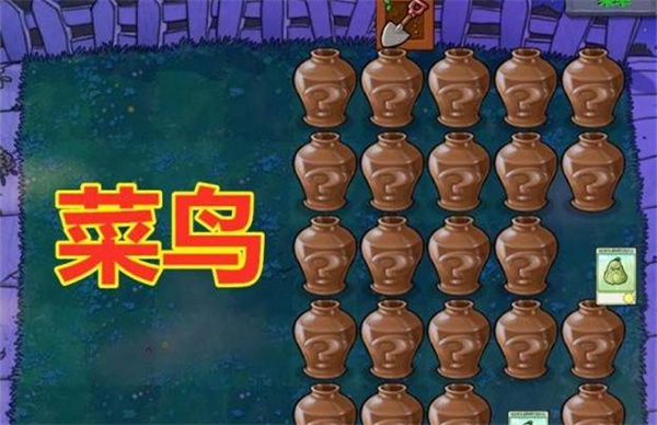 植物大战僵尸中文版