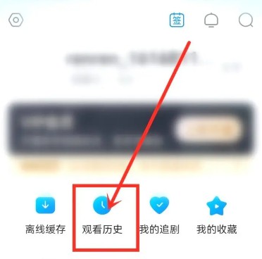 多多视频免费观看