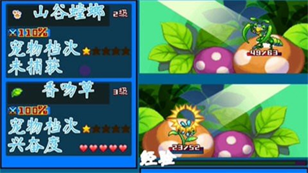 宠物王国5彩虹官方正版截图2