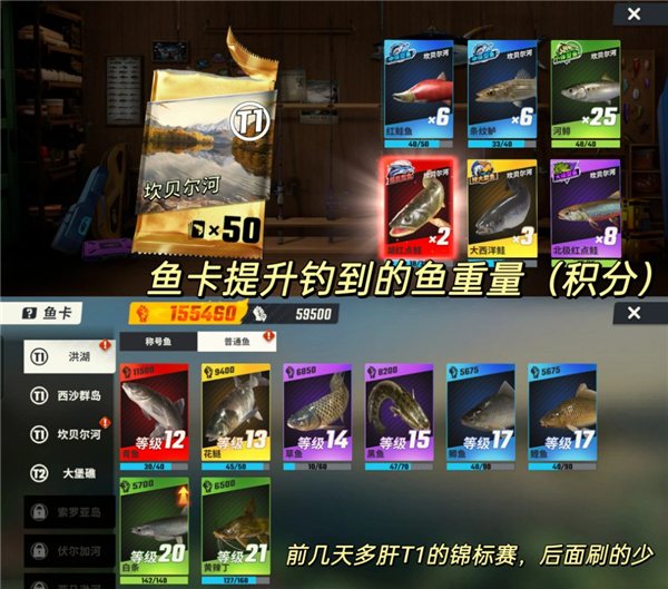 欢乐钓鱼大师内置修改器