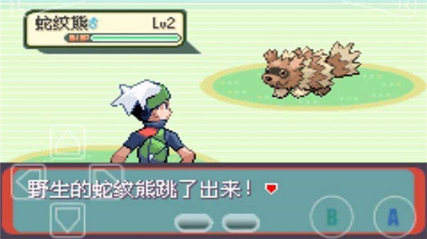精灵宝可梦绿宝石随机版截图3