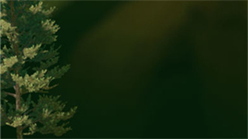 掘地求升手机版截图2