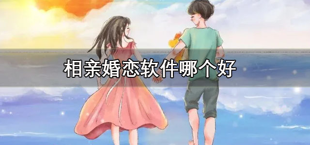 相亲婚恋软件