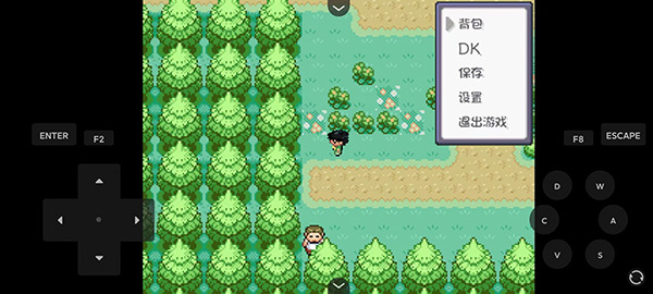 精灵宝可梦燃之智中文版截图3