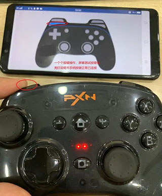 小鸡模拟器安卓版官网版