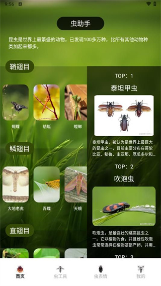 虫助手大师截图2
