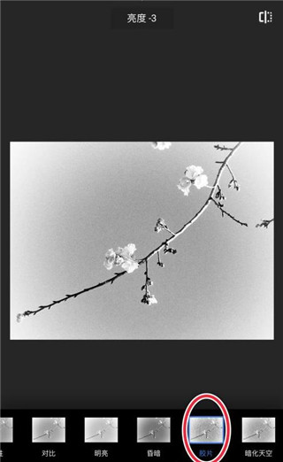 snapseed官方正版免费版