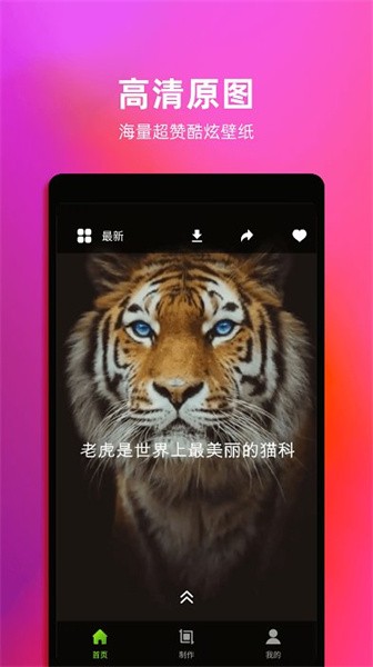 触摸动态壁纸截图2