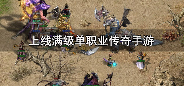 上线满级单职业传奇