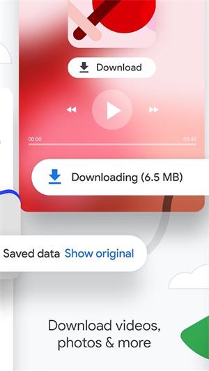 谷歌极速浏览器截图2