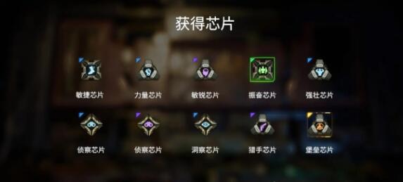 破碎之地金色芯片选择及强度分析