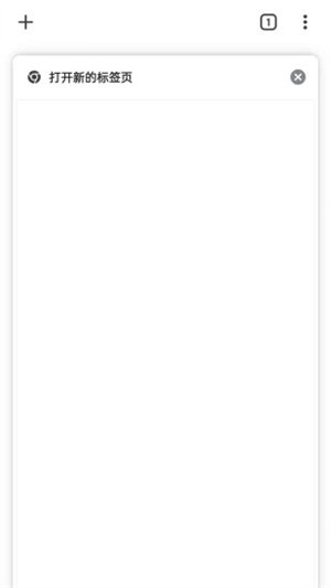 chrome浏览器中文版截图2